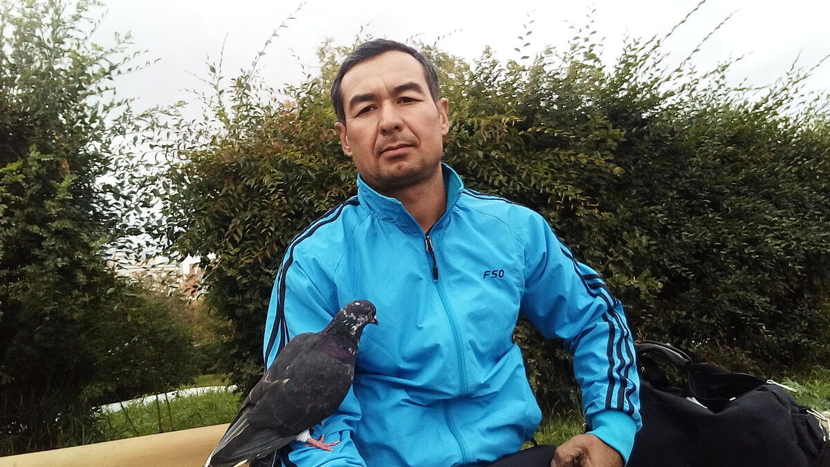  ,   Komil, 44 ,   ,   , c 