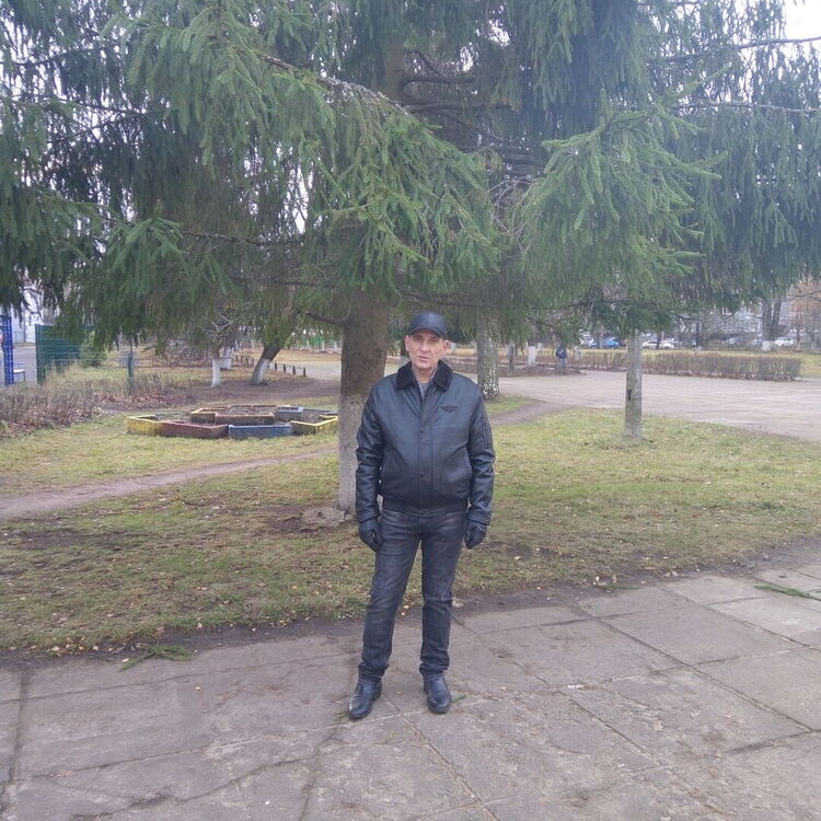  26908638  , 60 ,    