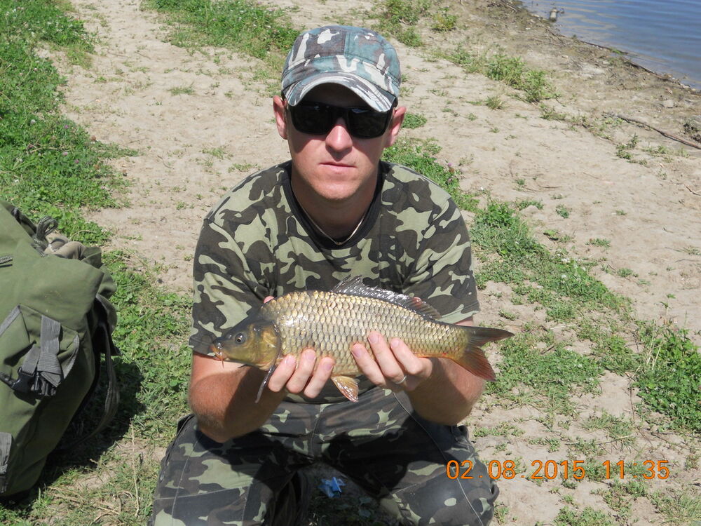 ���� 8638948 ������� �������, 41 ���, ���� ���������� � �����