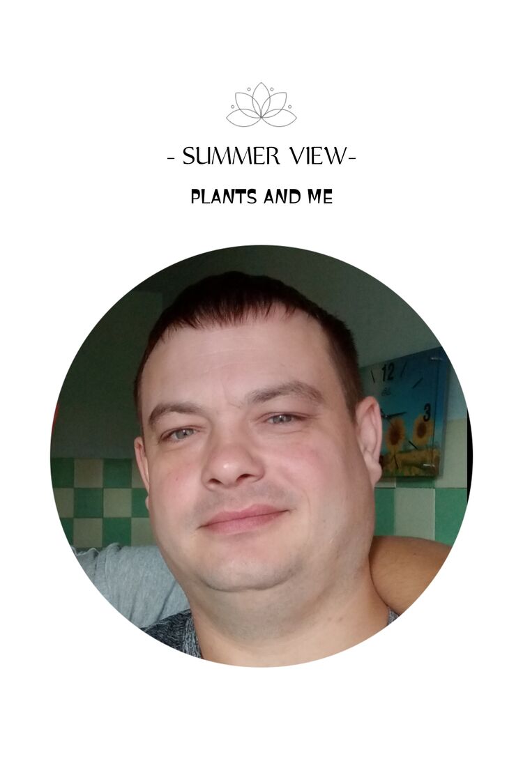 ���� 36882038 ������� ����, 38 ���, ���� ���������� � ����������