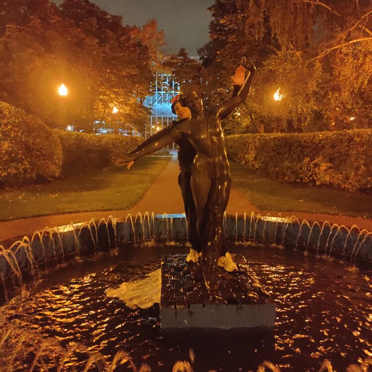  21231848  , 28 ,    
