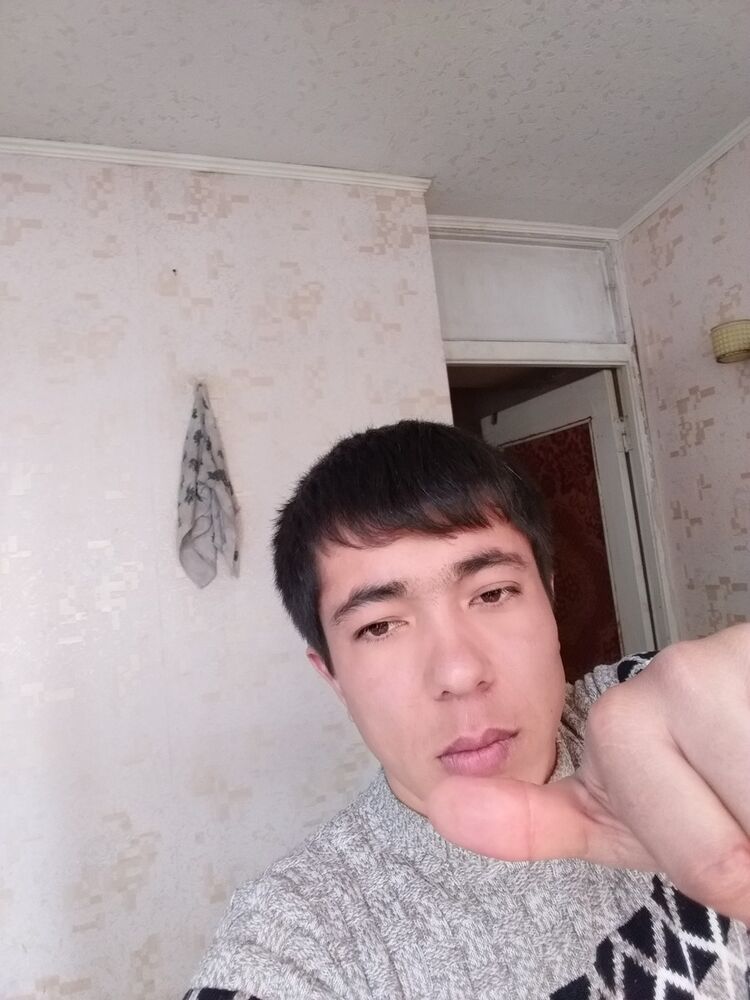  15586978  , 33 ,    