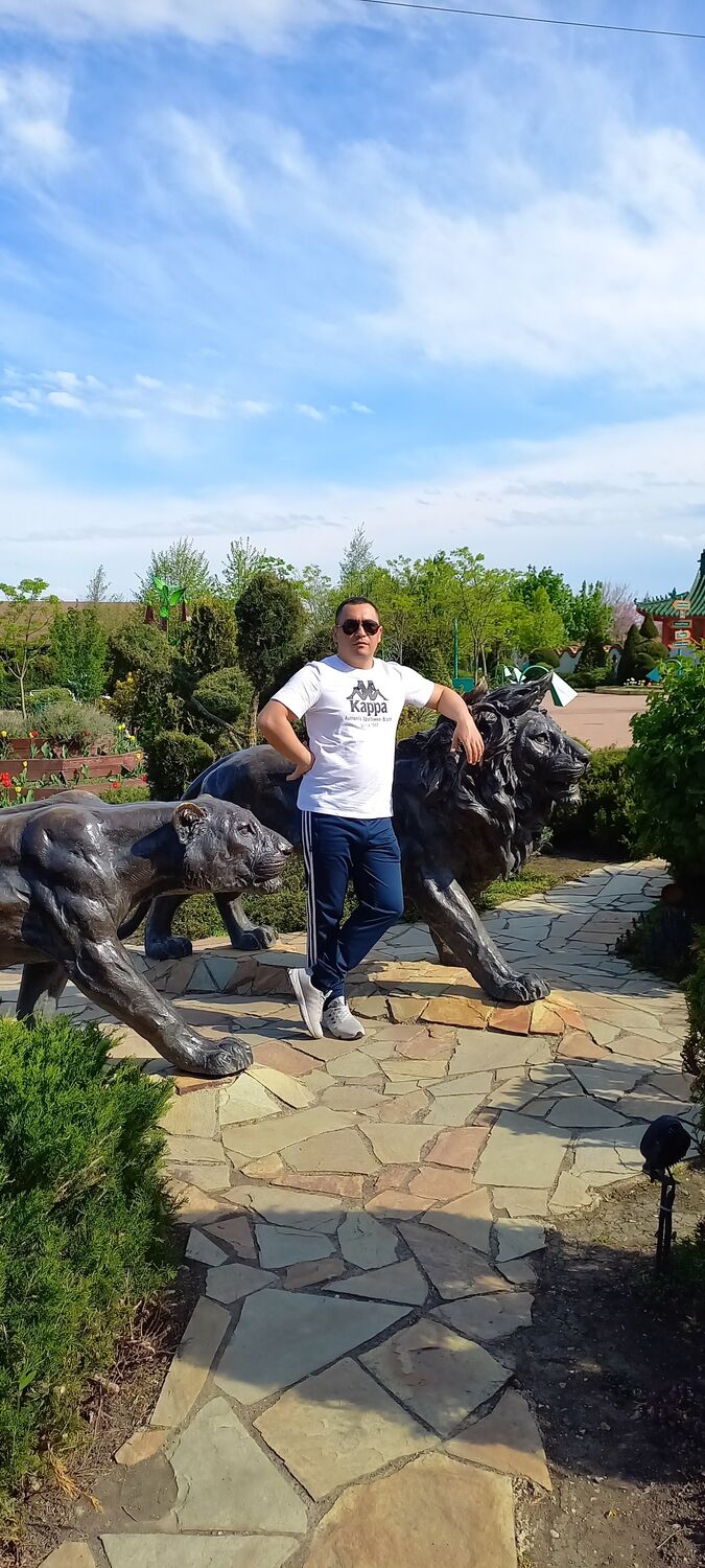 ���� 36747978 ������� ������, 31 ���, ���� ���������� � �����������