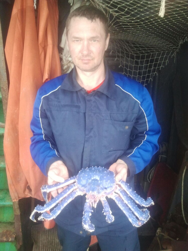 ���� 13872728 ������� ����, 49 ���, ���� ���������� � �����