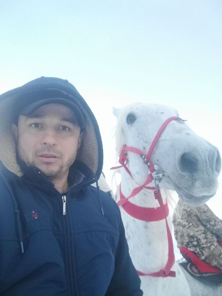 ���������� �����������, ���� ������� ������, 40 ���, ������������ ��� ������, ����� � ���������