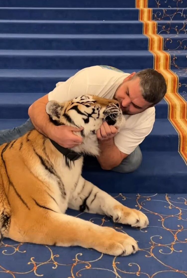 ���� 56173308 ������� Dilshod, 36 ���, ���� ���������� � ��������