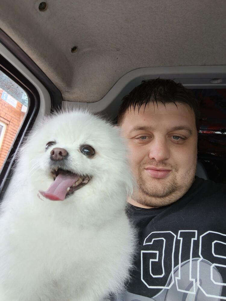 ���� 55973368 ������� �������, 36 ���, ���� ���������� � ���������