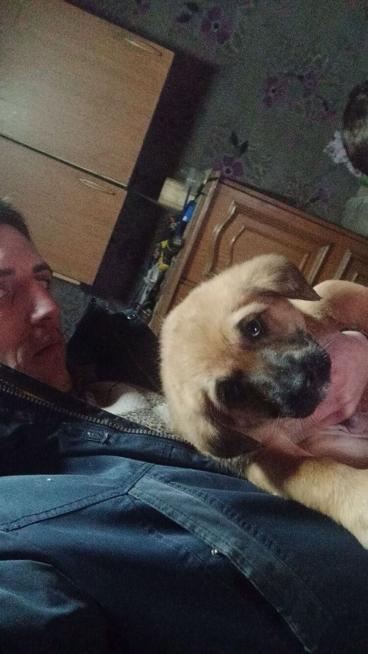 ���������� �����, ���� ������� �������, 26 ���, ������������ ��� ������, ����� � ���������, c�������� ���������