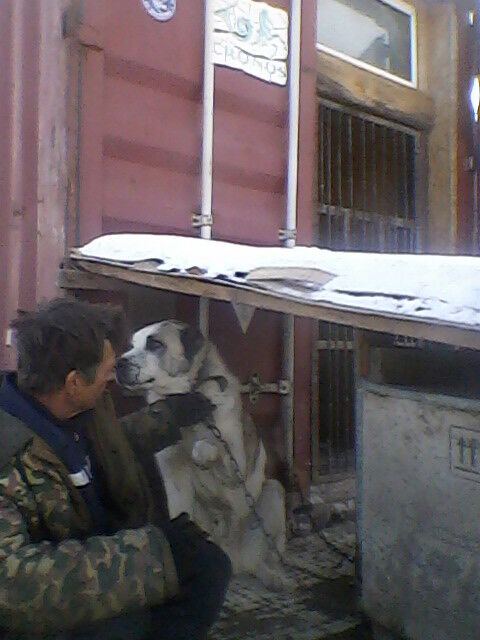 ���������� ������, ���� ������� ����, 58 ���, ������������ ��� ����� � ���������, c�������� ���������