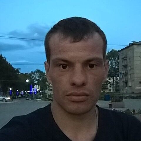  44545328  , 36 ,    