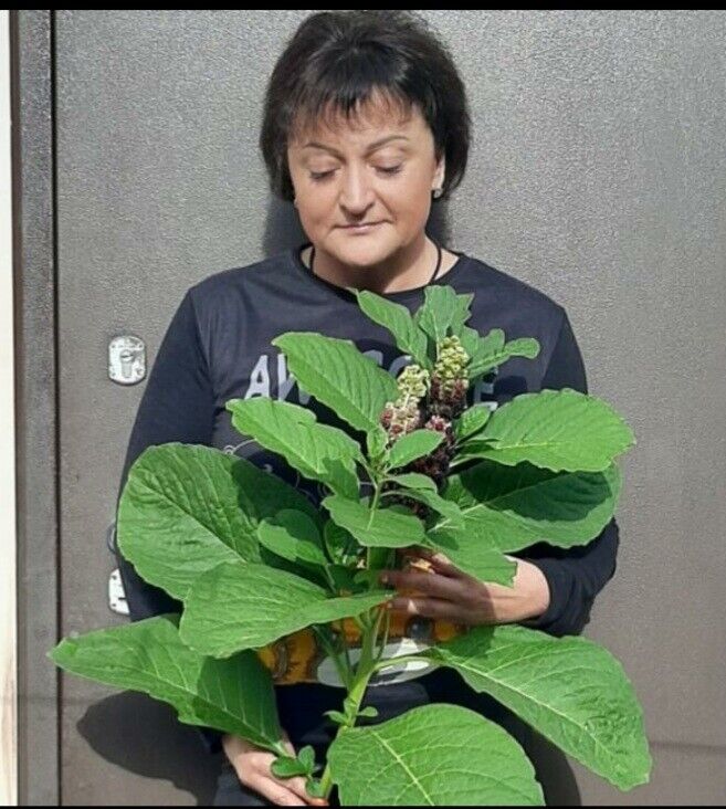  ,   , 50 ,   , 