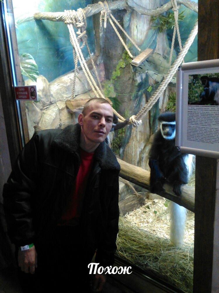 ���� 8372168 ������� �������, 41 ���, ���� ���������� � ������ ������