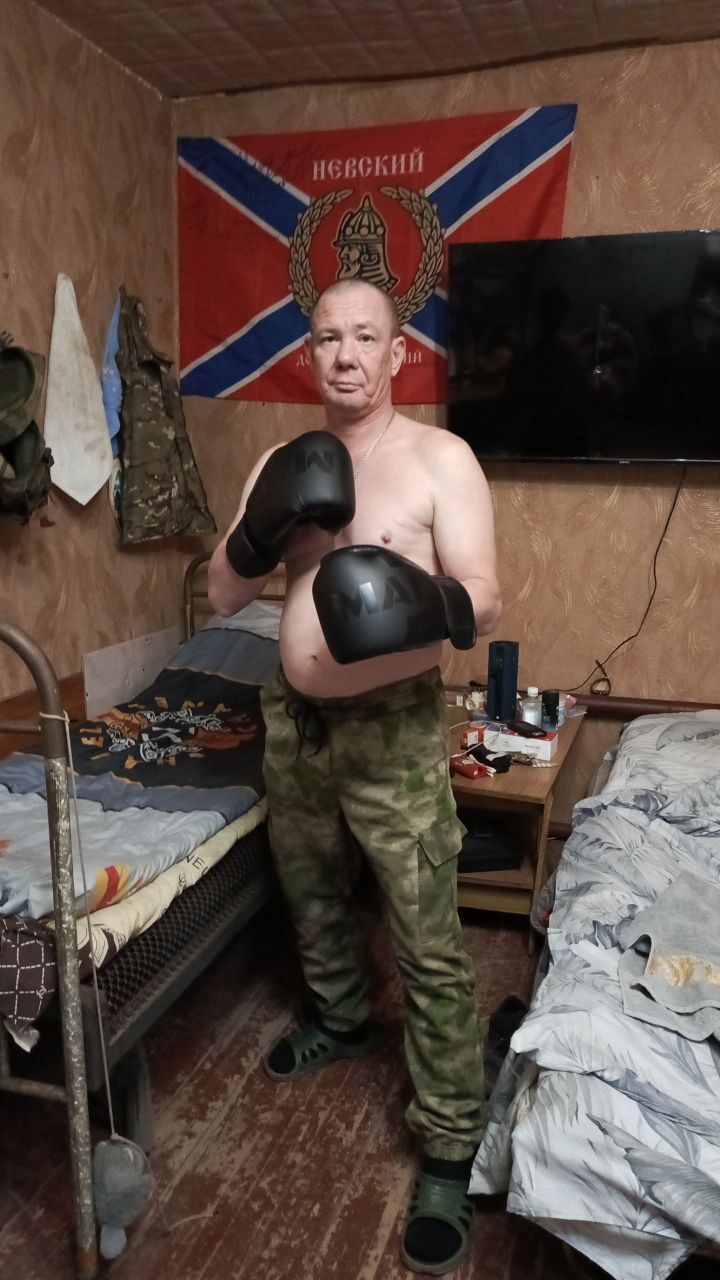  53677718  , 40 ,    