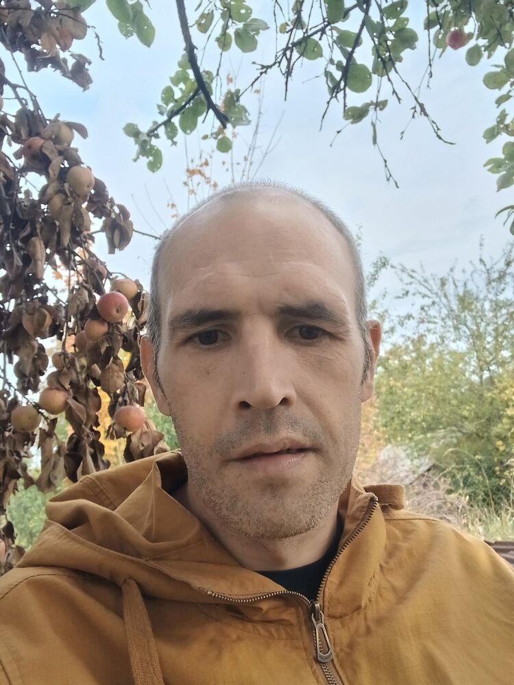  53859478  , 42 ,    