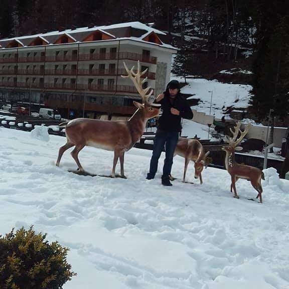 ���� 28129498 ������� ������, 38 ���, ���� ���������� � �������