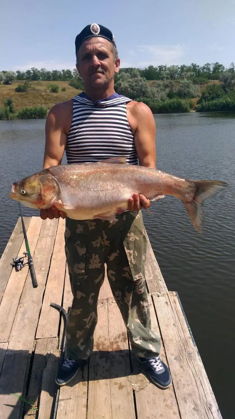  --,   , 57 ,   ,   , c , 