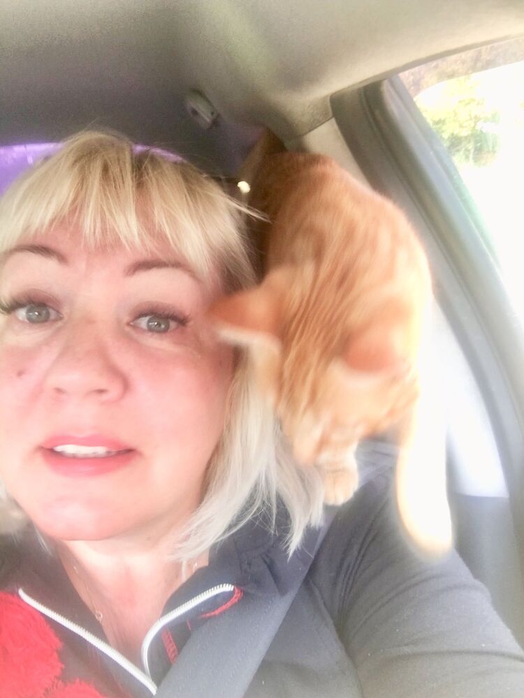 ���� 25914738 ������� ������, 54 ����, ���� ���������� � ������