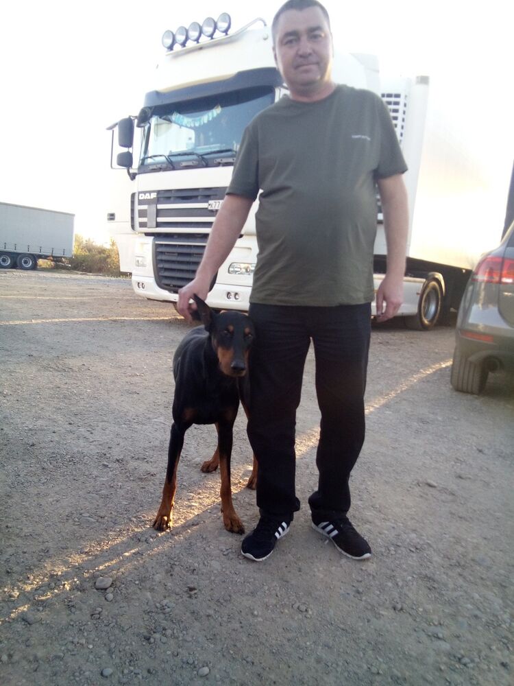 ���������� ��������, ���� ������� ������, 50 ���, ������������ 