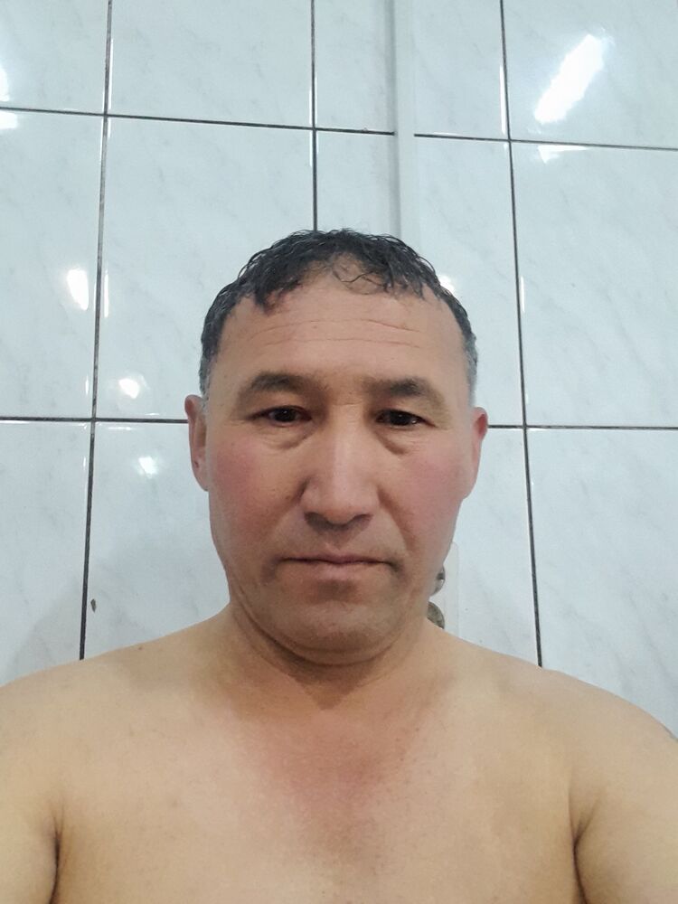 50853548  , 49 ,    -
