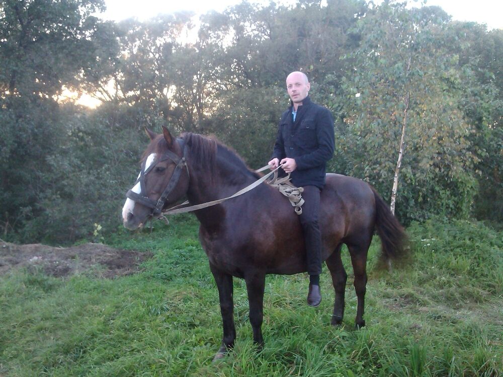 ���������� �����, ���� ������� ���, 41 ���, ������������ ��� ������