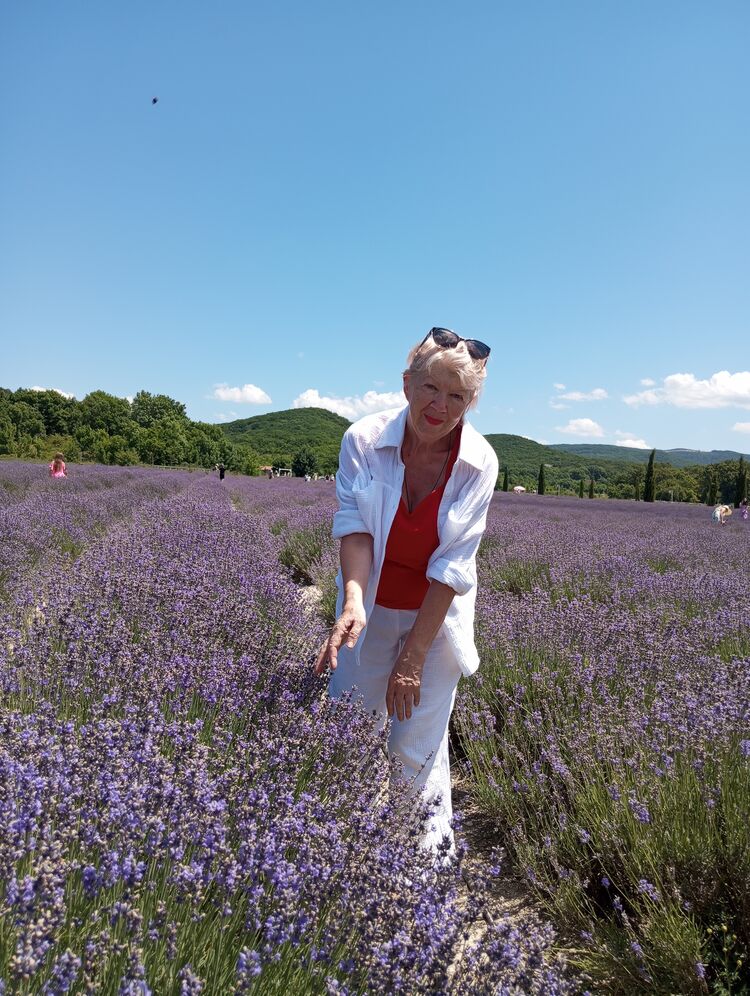 ���������� �����, ���� ������� ����, 68 ���, ������������ ��� ����� � ���������, c�������� ���������