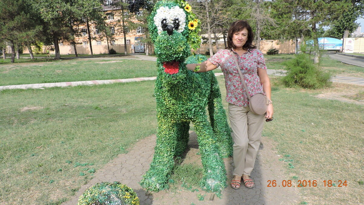  ,   , 55 ,  