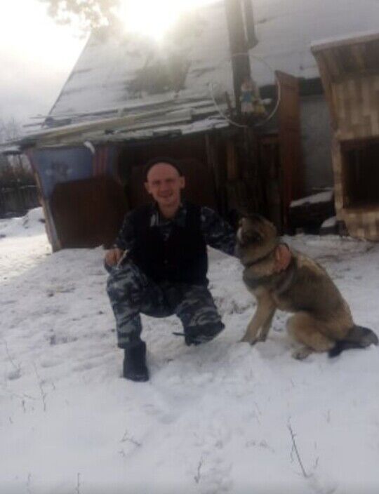  21375068  Wolf, 41 ,    -