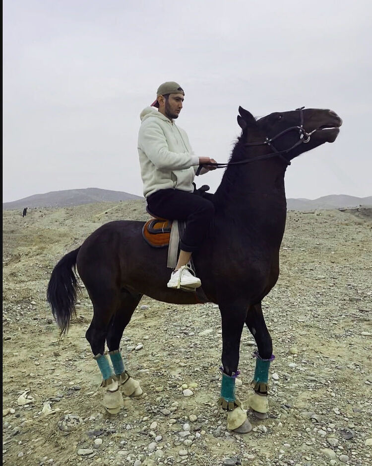 ���������� ������, ���� ����� ���, 24 ����, ������������ ��� ������, ����� � ���������, c�������� ���������