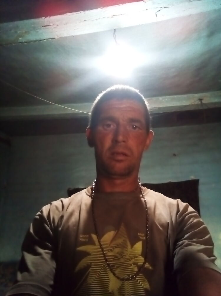  37168698  , 43 ,    