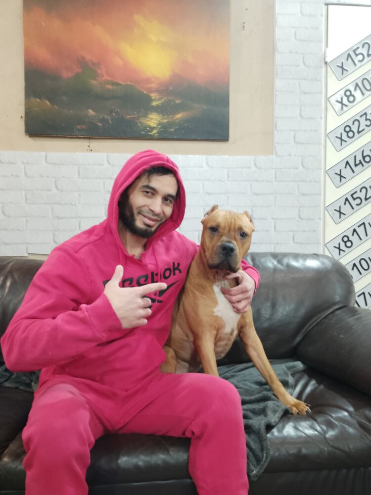 ���������� �����-���������, ���� ������� Elyor, 32 ����, ������������ ��� ������, ����� � ���������, c�������� ���������