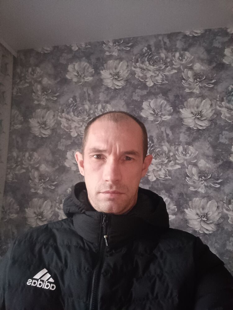  42460898  , 41 ,    