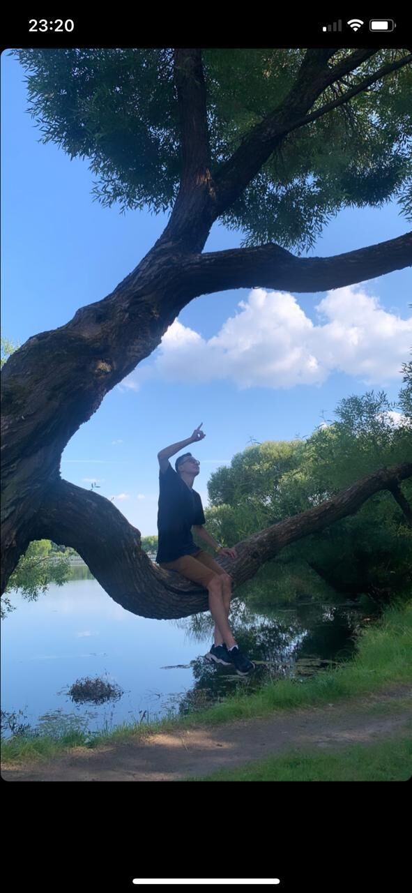  27461548  , 23 ,    -