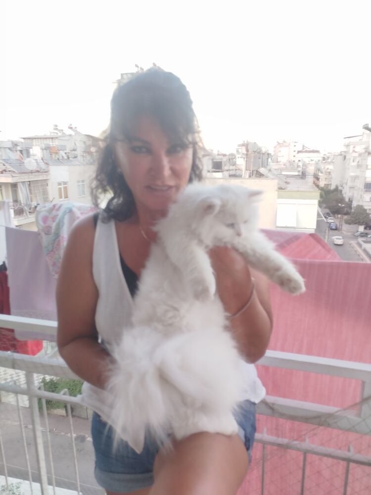 ���� 55932818 ������� ������ �����, 57 ���, ���� ���������� � �������