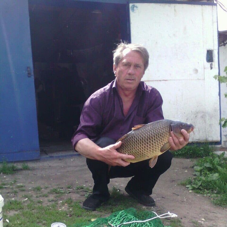  -,   , 64 ,   ,   
