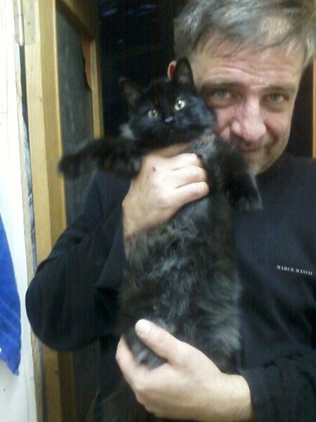 ���������� ������, ���� ������� ���������, 52 ����, ������������ ��� ������, ����� � ���������, c�������� ���������