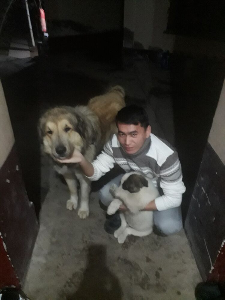  21125898  Nurik, 32 ,    