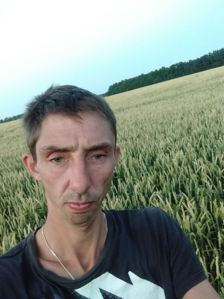  29915388  , 40 ,    