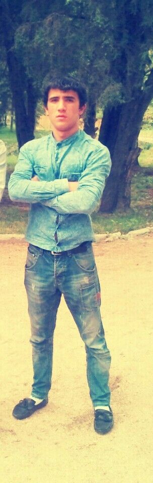  5033688  , 31 ,    