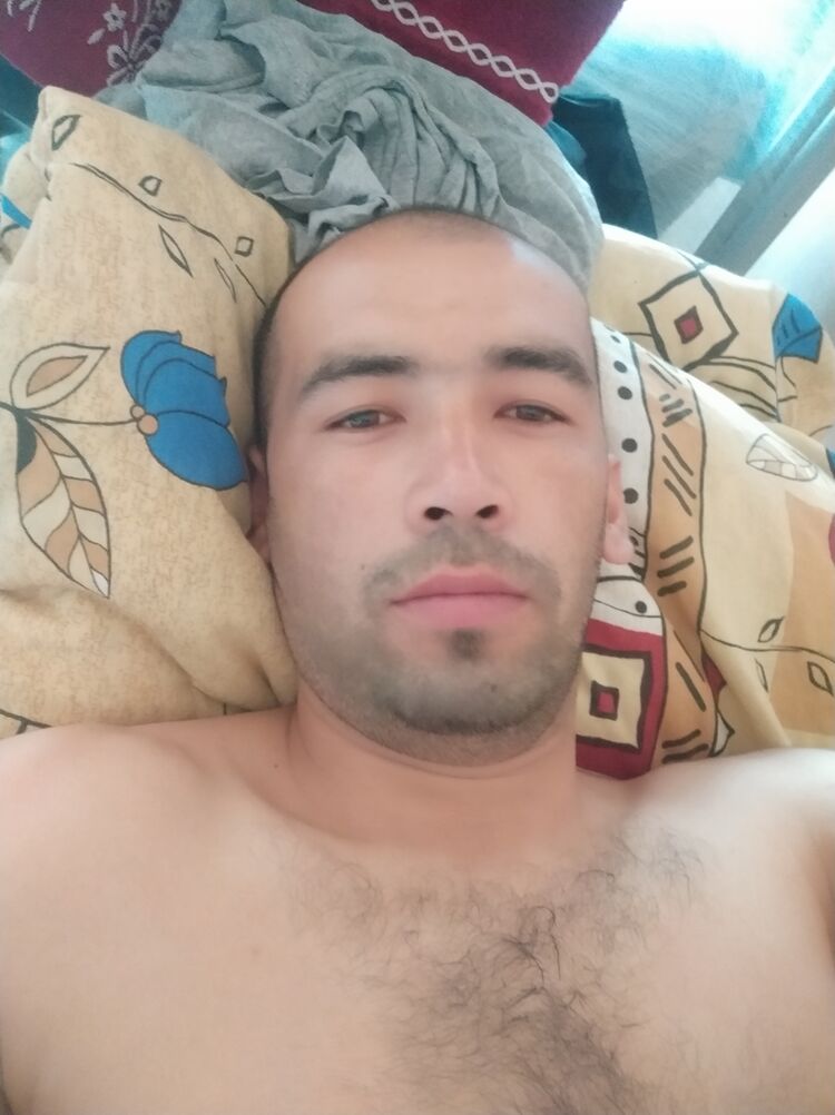  35987288  , 31 ,    