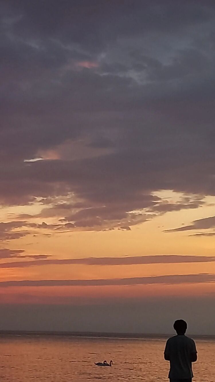 ���������� �����������, ���� ����� ����, 21 ���, ������������ ��� ������, ����� � ���������, c�������� ���������