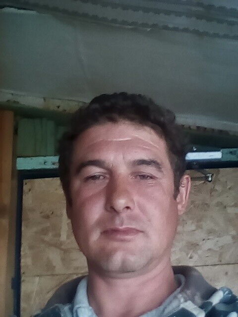 ���� 19904878 ������� ����, 44 ����, ���� ���������� � ���������