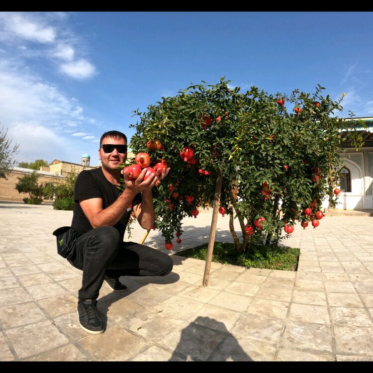 ���������� ������, ���� ������� ����, 38 ���, ������������ ��� ������, ����� � ���������, c�������� ���������