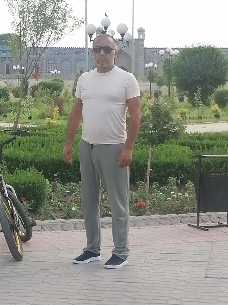  44298378  , 49 ,    