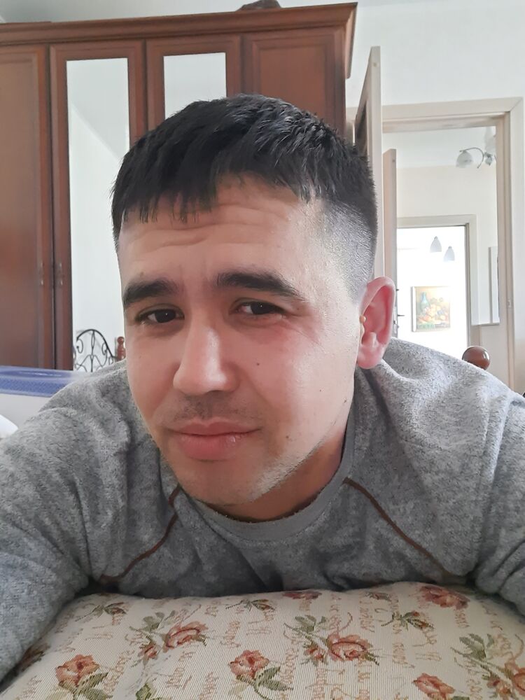  31008528  , 34 ,    