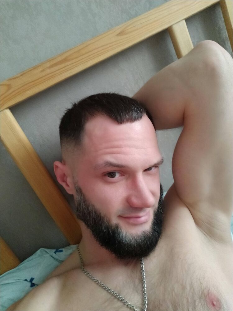  33813498  , 36 ,    