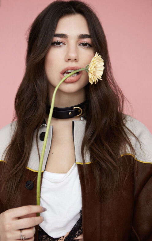 ���������� ������, ���� ������� ���� ���, 35 ���, ������������ ��� ������, ����� � ���������