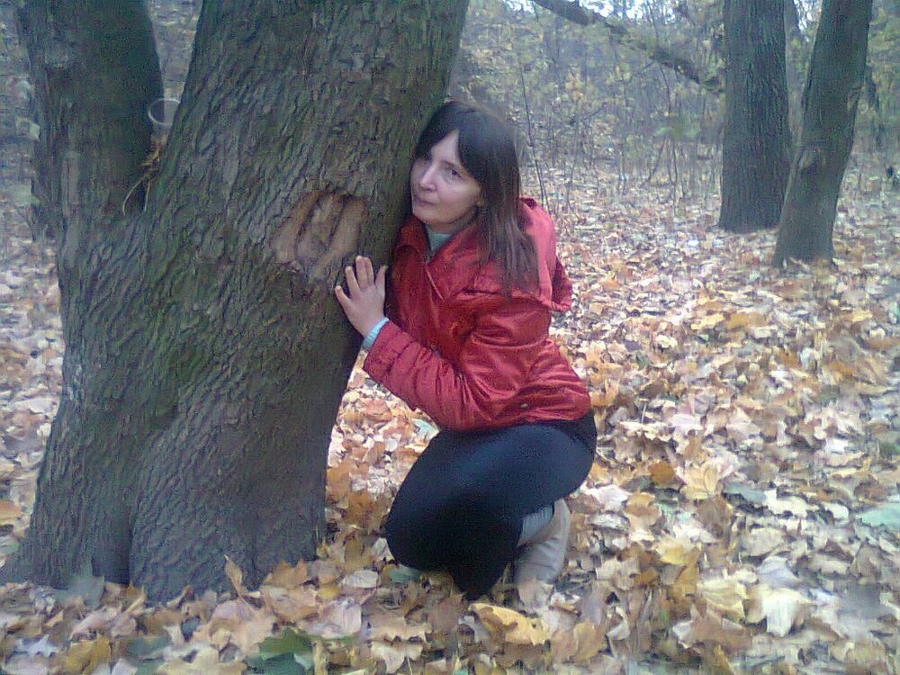  ,   , 52 ,   ,   , 