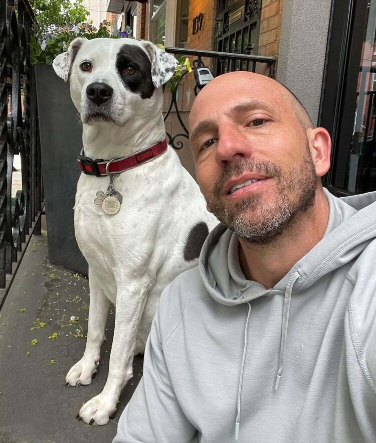 ���� 53160168 ������� �������, 37 ���, ���� ���������� � ������