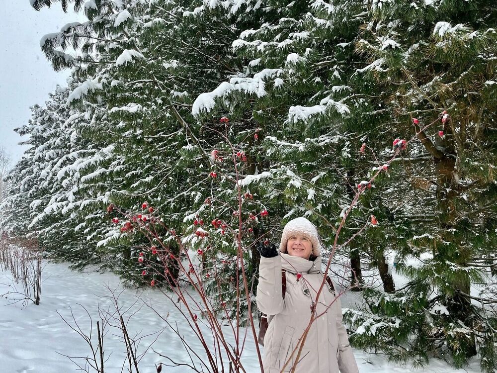 ���� 54993048 ������� �����, 60 ���, ���� ���������� � �����-����������