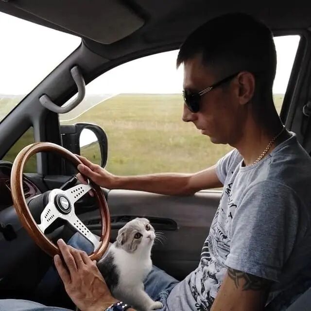 ���������� �������, ���� ������� �����, 41 ���, ������������ ��� ������, ����� � ���������